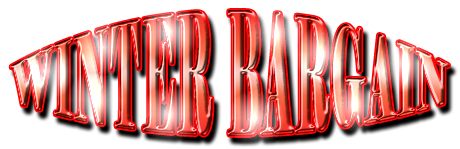 フリー素材「WINTER BARGAIN」パターン24