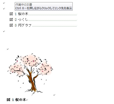 ワード 2010 図表番号の挿入