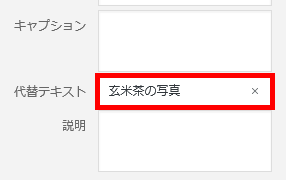 代替テキスト