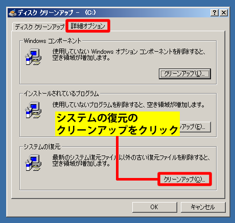詳細オプションタブ